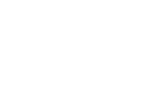 loupe